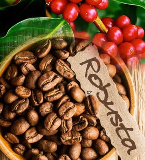 Cà phê Robusta hạt rang mộc (1kg)