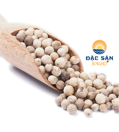 Tiêu Sọ Nguyên Hạt - Tây Nguyên