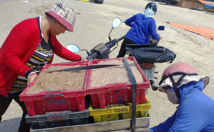 Nhanh chóng chuyển ruốc về chợ